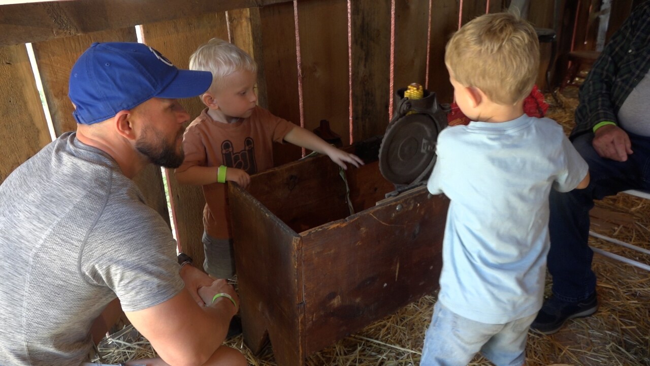 children shuck some corn