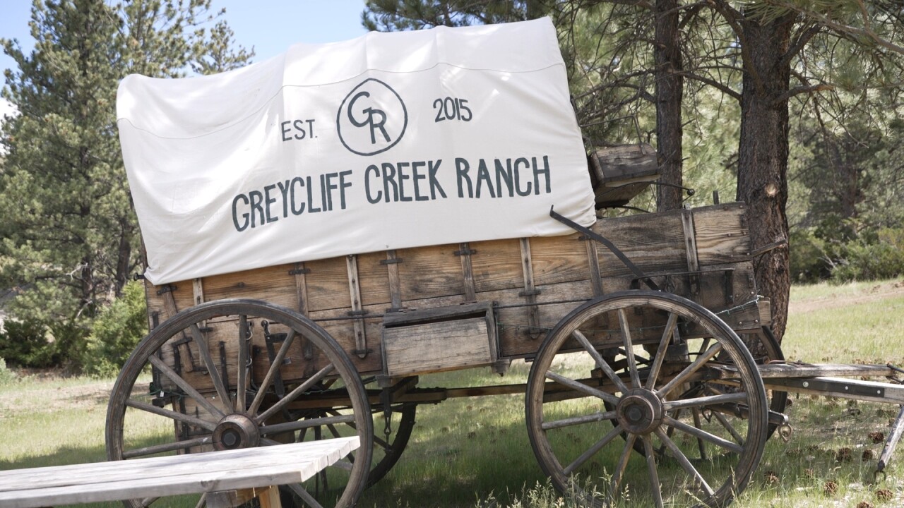 sheepwagon10_3.4.1.jpg