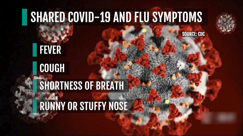 covid-19-or-flu.png