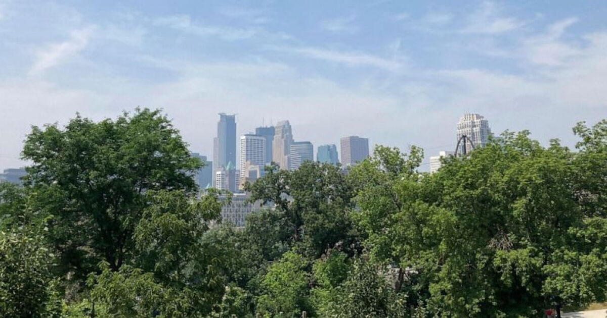 Rainfall likely won't be enough to extinguish Quebec wildfires causing US smoke - Vimarsana News