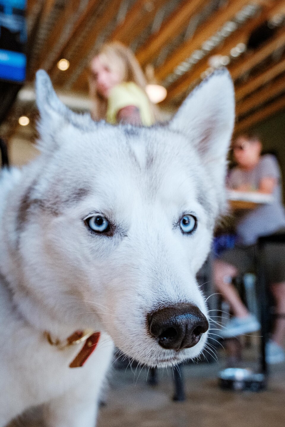 Lakewood HG - Food Truck Park 2.jpg