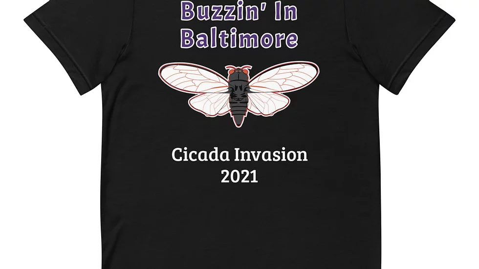 Cicada1.png