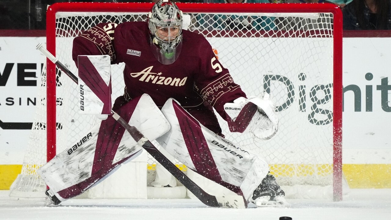 Sharks Coyotes Hockey