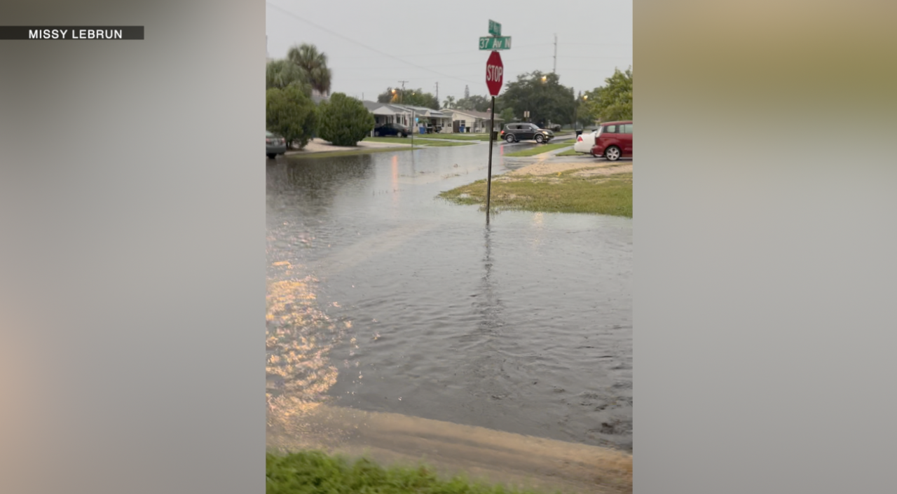Neighbors in a St. Pete community say blocked drainage ditch is causing flood issues