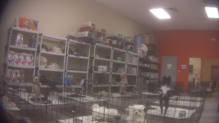 Puppy Heaven enclosures