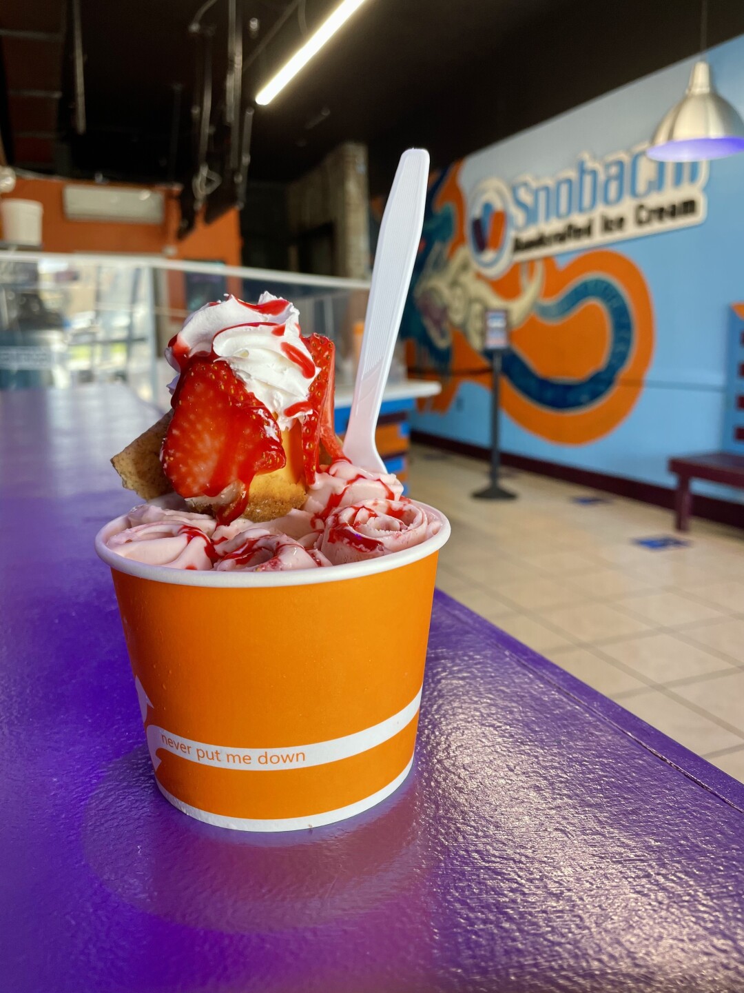 Chill Out This Summer at the Best Ice Cream Shops in Tampa