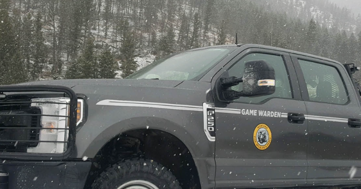 Game Wardens seek information on poached elk in Musselshell County - Vimarsana News