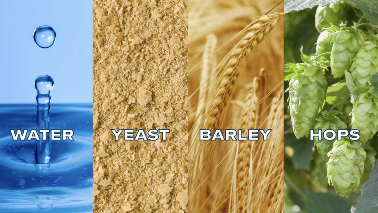 Beer ingredients