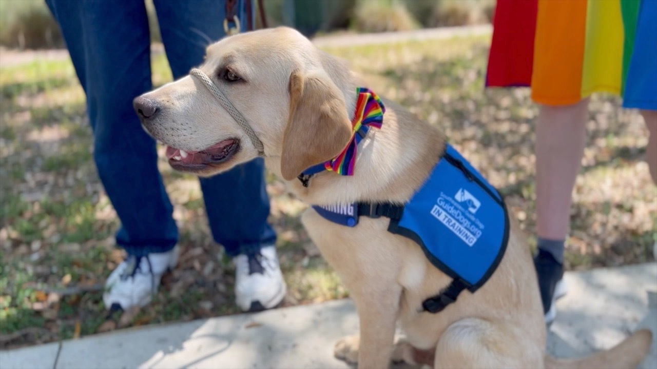Manatee Pride kicks off its 8th annual festival along the Bradenton Riverwalk