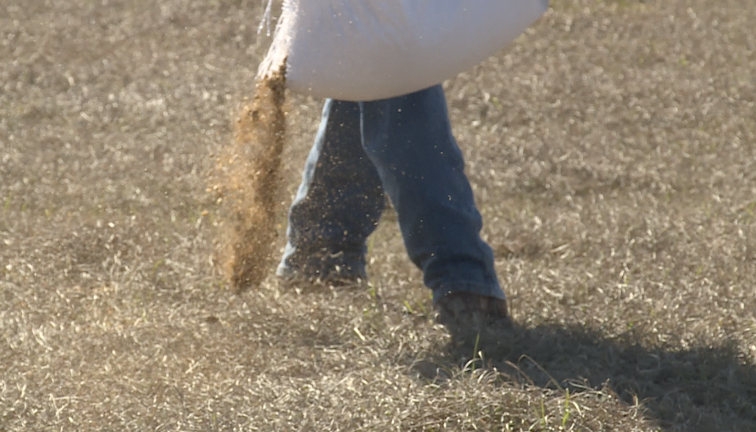 Screenshot 2026-03-04 at 1.14.57 PM.png