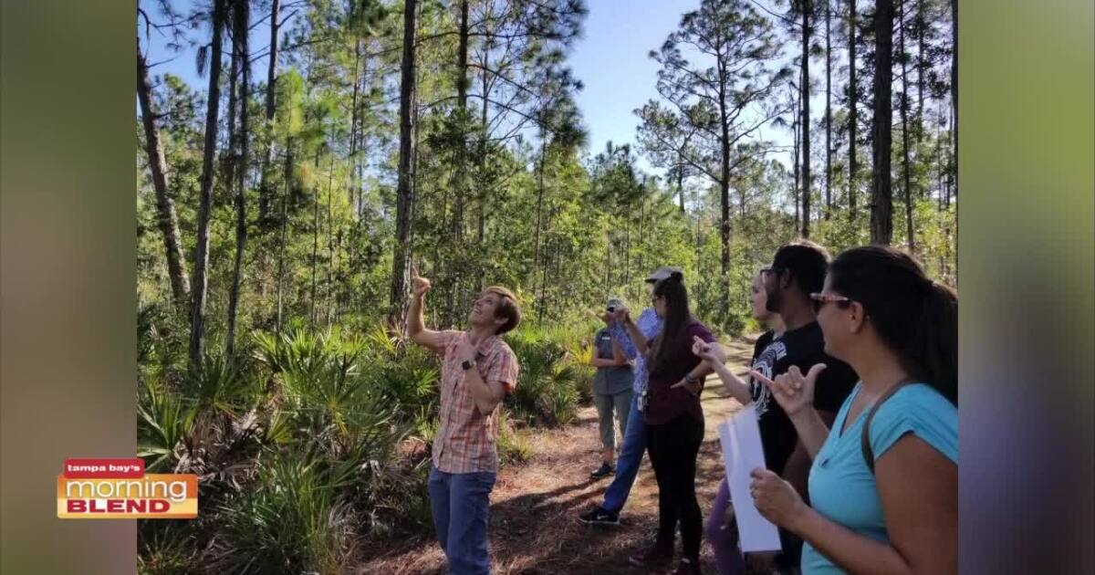 Tampa Bay Trails Brooker Creek Preserve