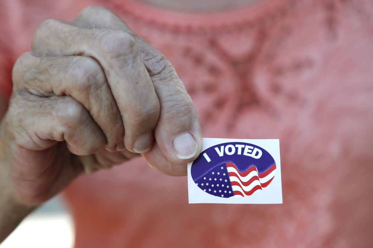 Election 2020 Voting