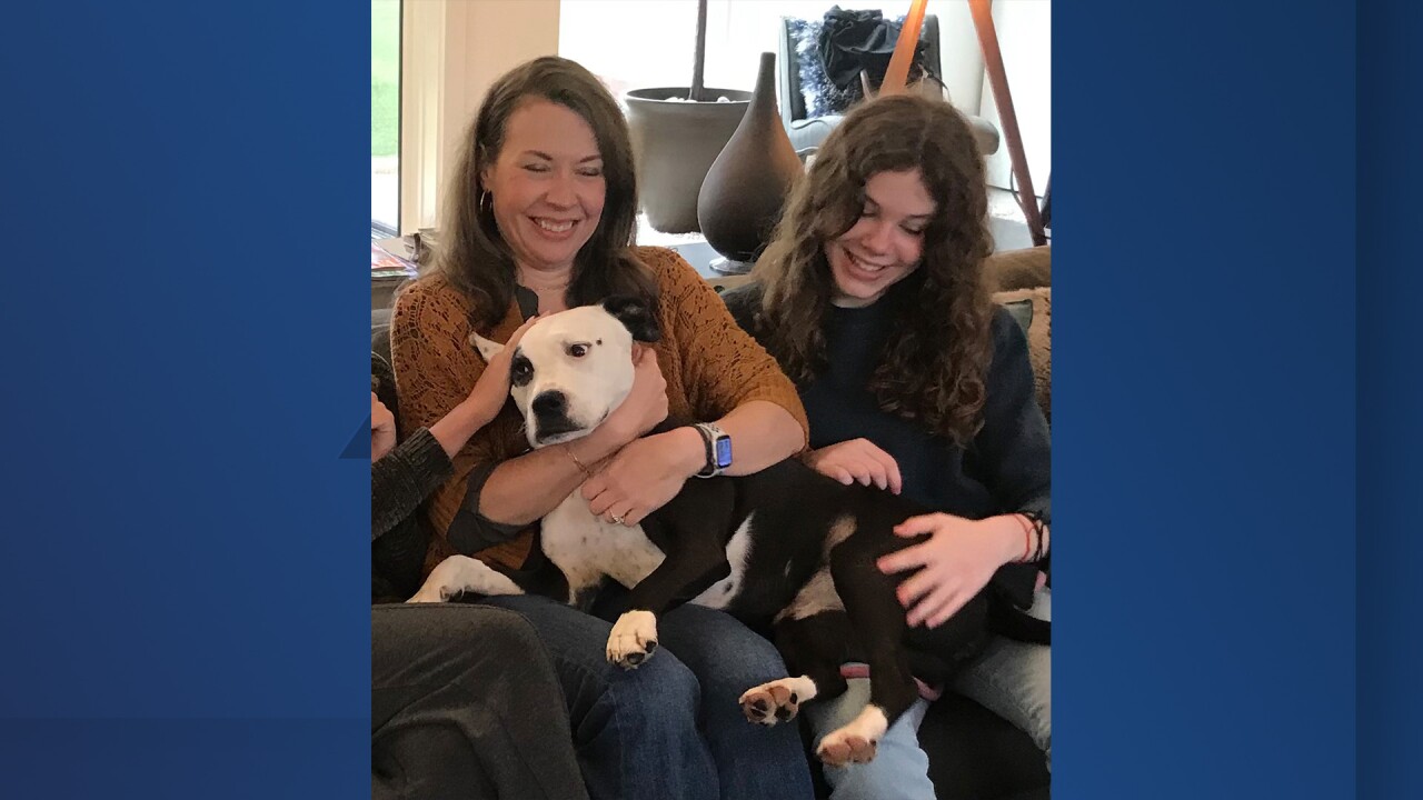 kristi bond lucy leawood dog.jpg