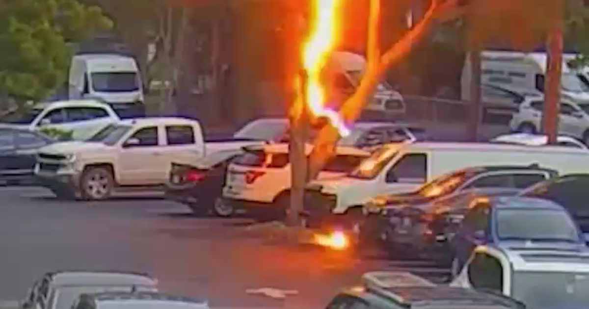 WATCH: Lightning strike caught on camera at sheriff's office in Florida - Vimarsana News