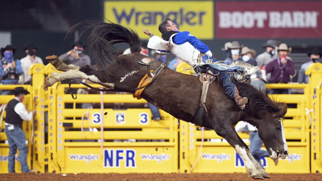 Richmond Champion NFR.jpg