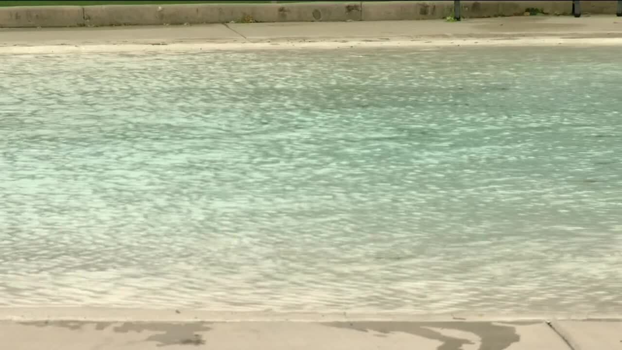 Poster image - 2021-08-11T174258.492.jpg