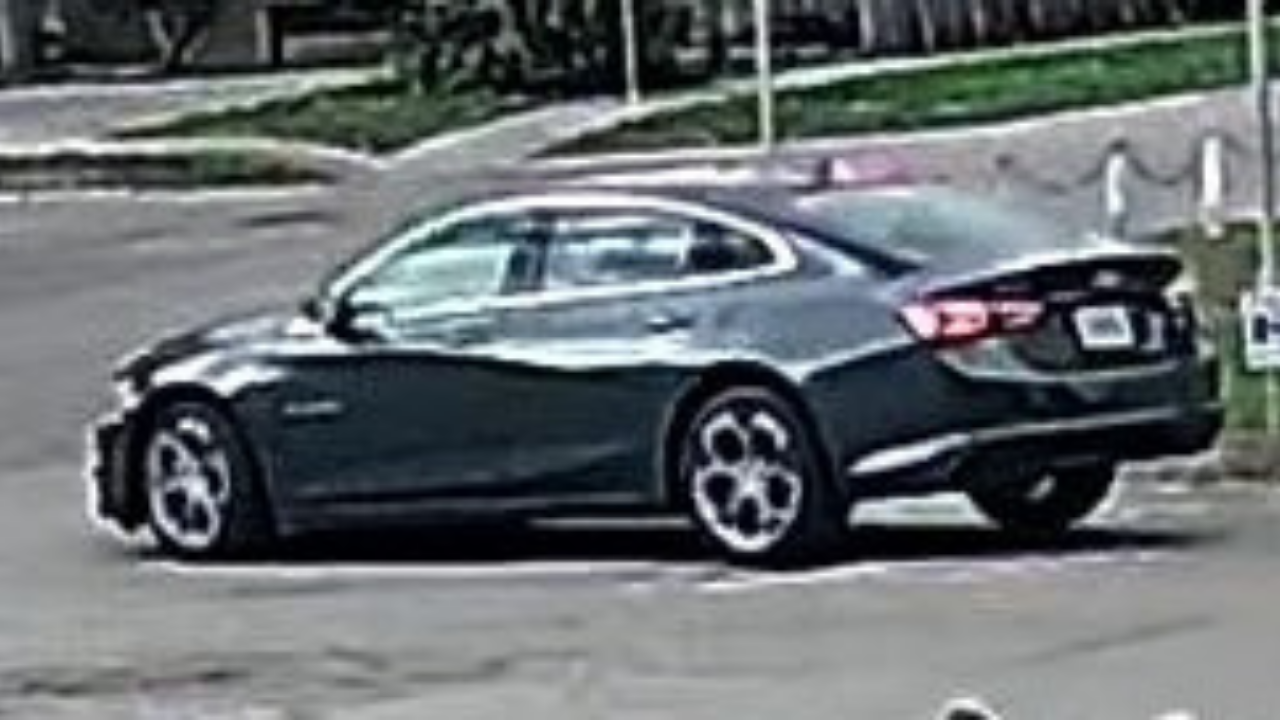 Polk County grinch vehicle.png
