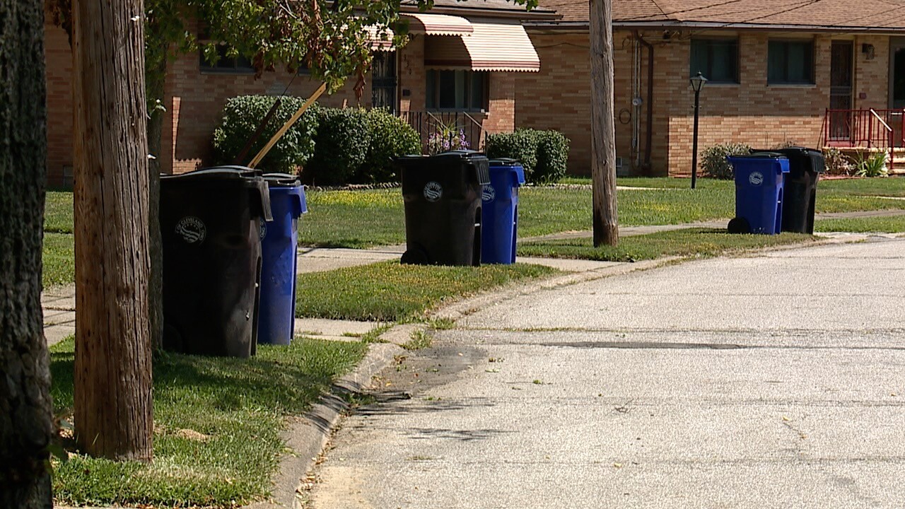 cleveland recycling 1.jpg