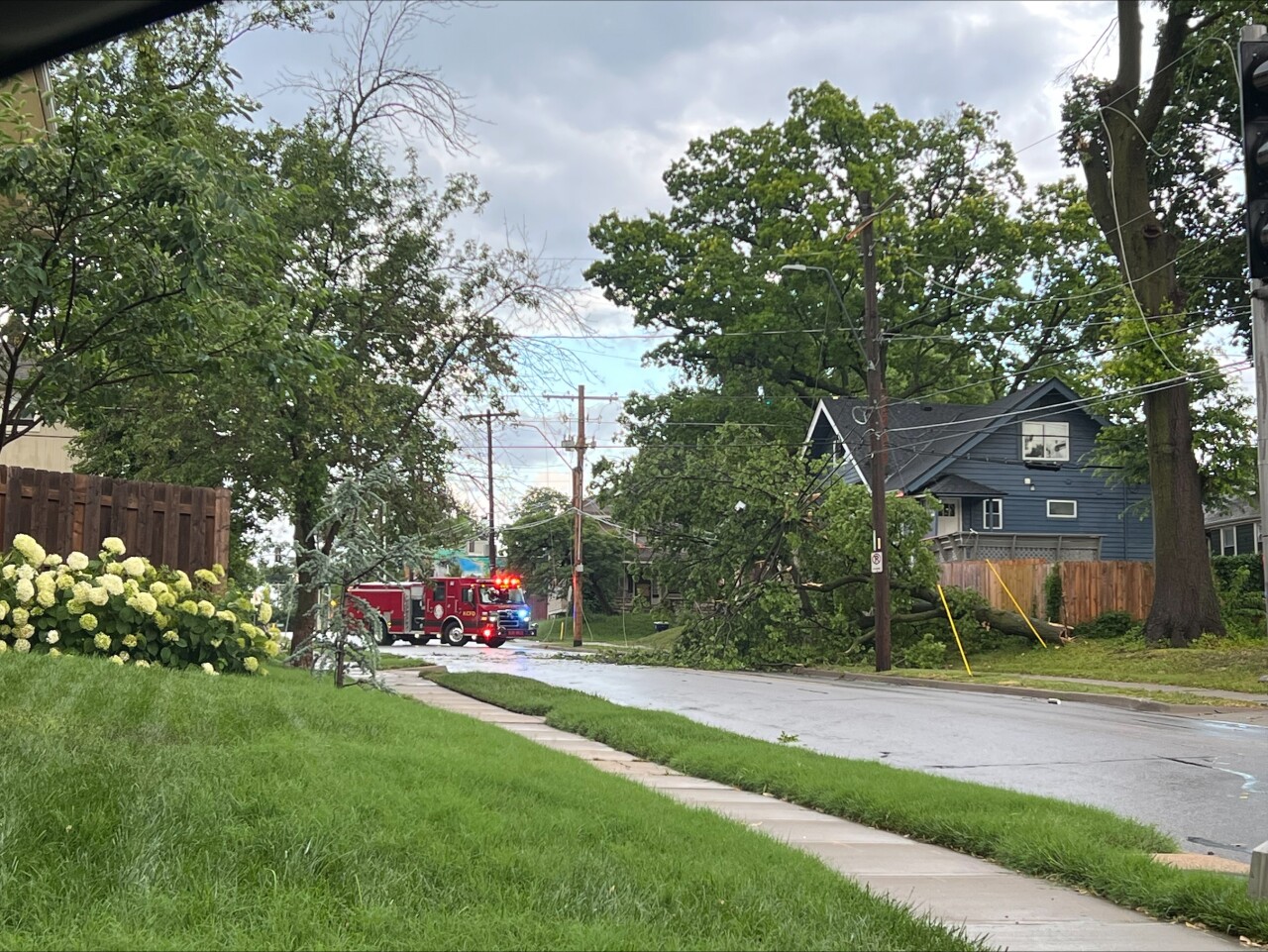 Tree down at 55th and Troost/Rockhill
