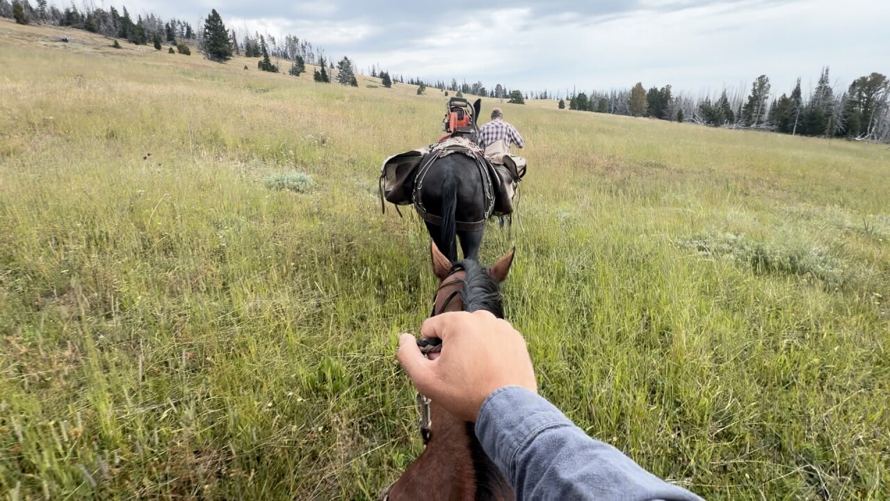 Backcountry