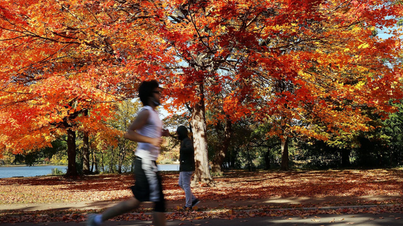 Here's your national fall weather forecast
