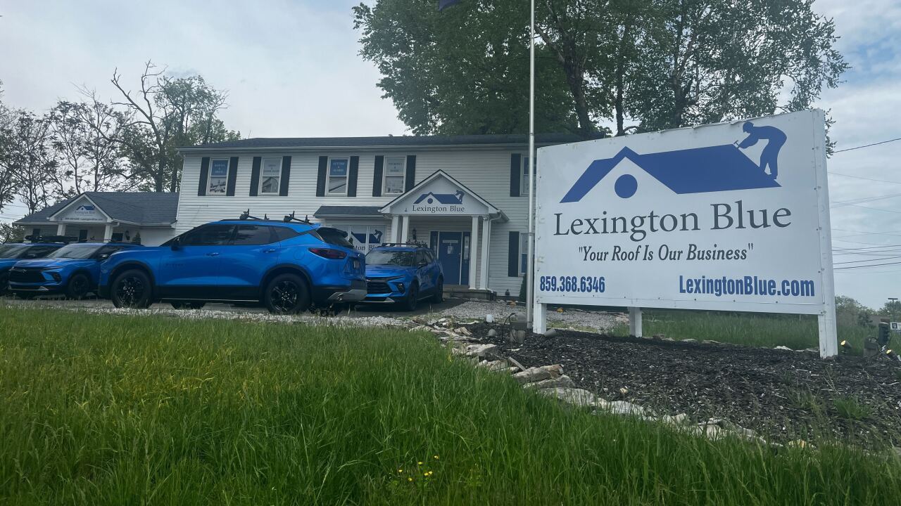 lex blue.jpg
