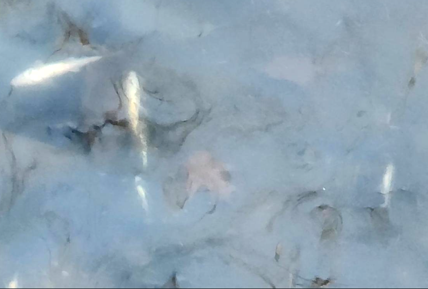 East Palestine area homeowners demand more answers after train derailment