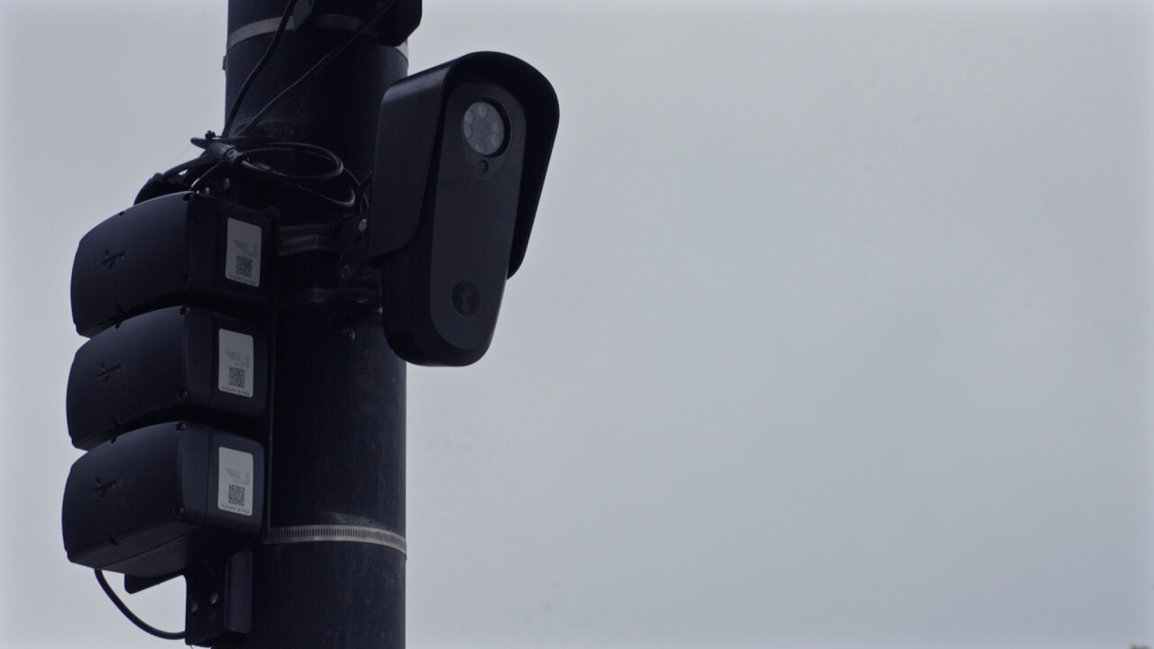 FLOCK CAM2.jpg
