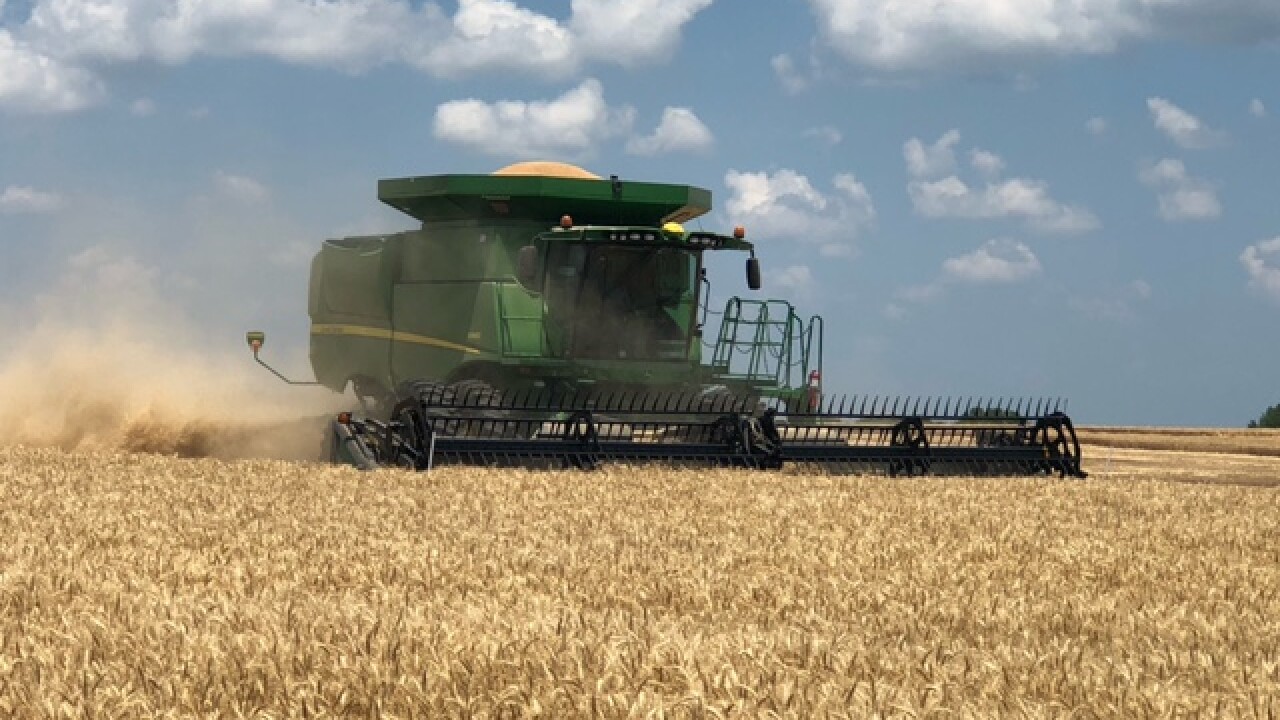 Wheat harvest