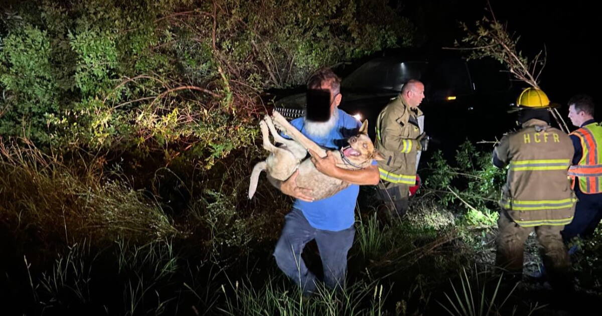 Chaos in Hernando: Drone Rescues Victim, Dog Saved