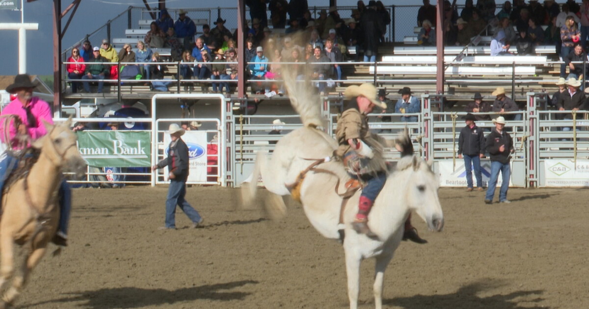 Home of Champions Rodeo in Red Lodge bringing in needed revenue to the town - Vimarsana News