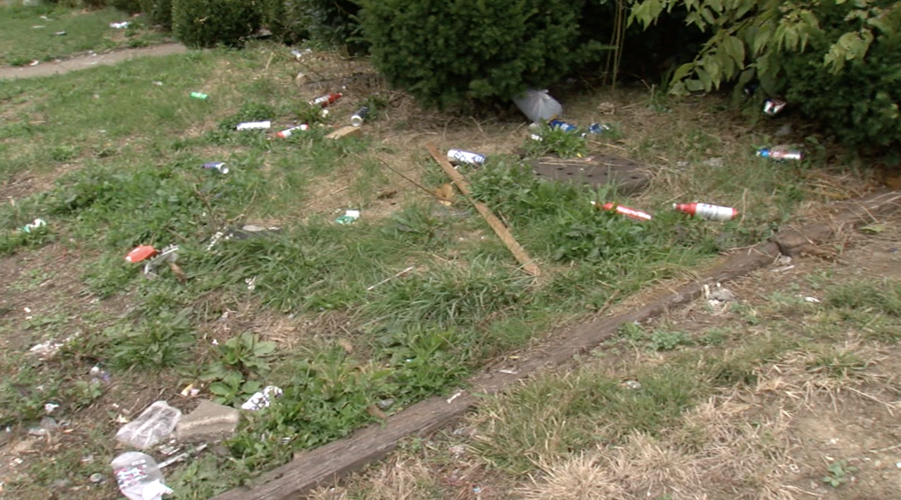 Trash along the corner of McHenry and Harrison avenues in Westwood.