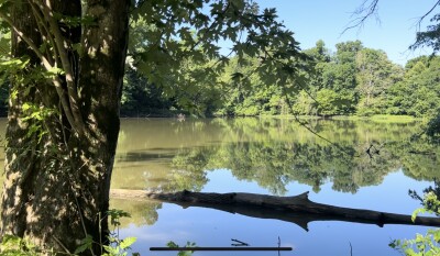 Boone's Landing Campground