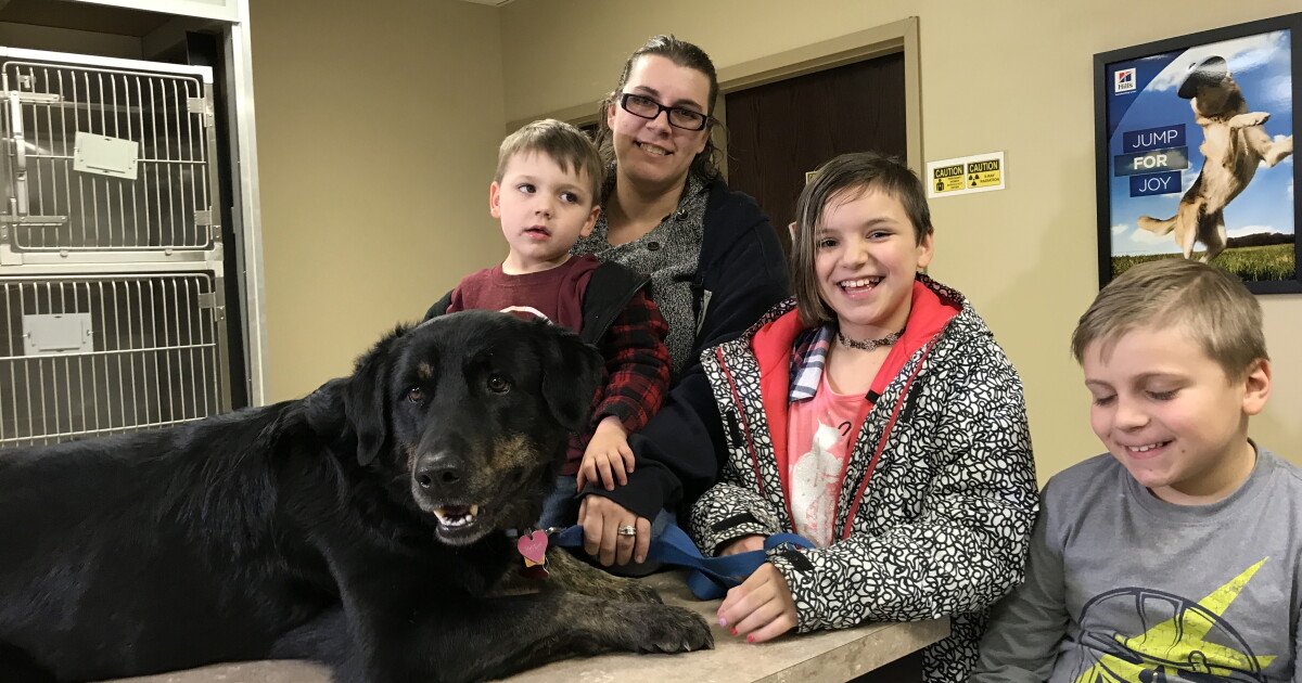 Family reunited with dog missing for more than two months