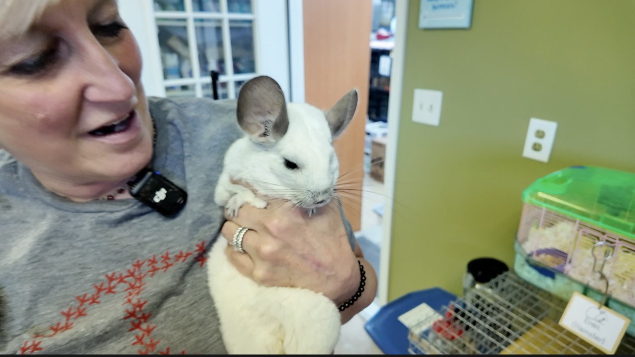 Screenshot 2025-08-15 at 6.02.35 PM.png