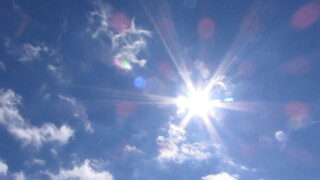 Summer Sunshine