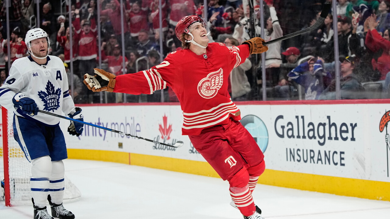 Red Wings Simon Edvinsson Hockey