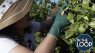 Historic Heat Costs, Plus Group Plans Yearlong Food Program