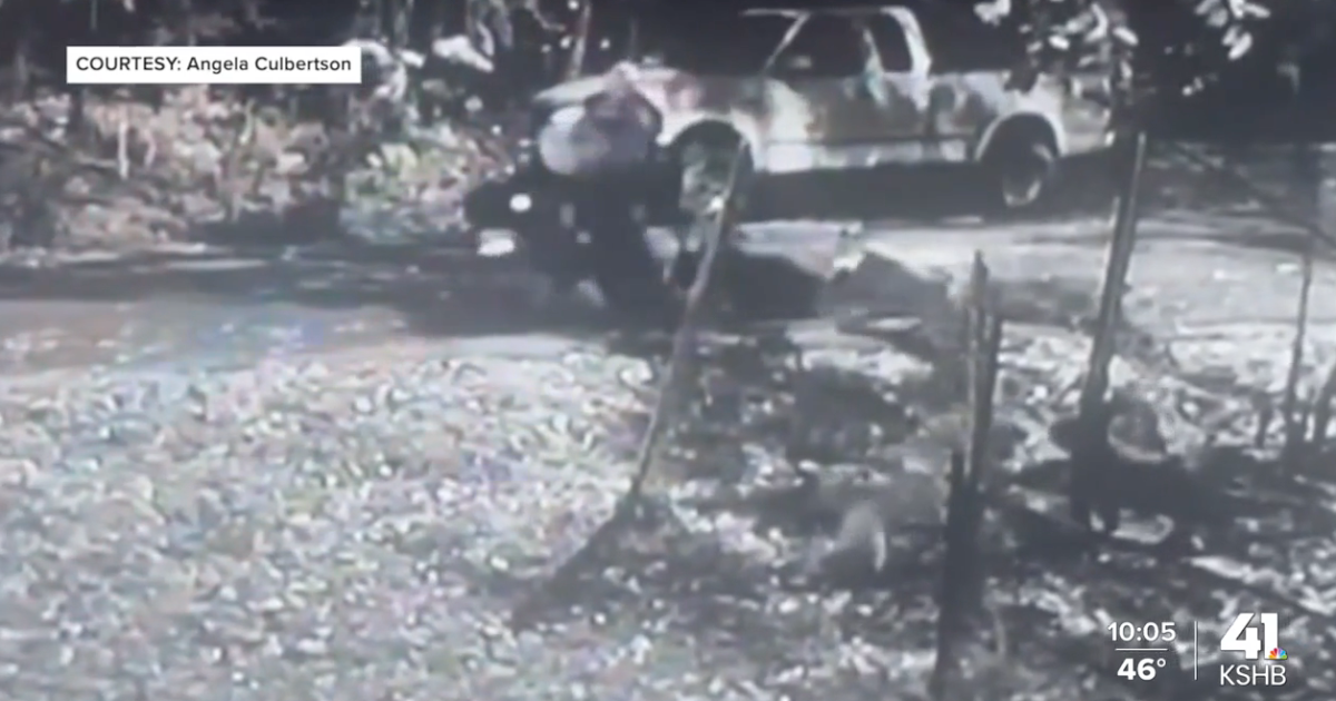 Father, son, charged in deadly dog attack last November in Kansas City