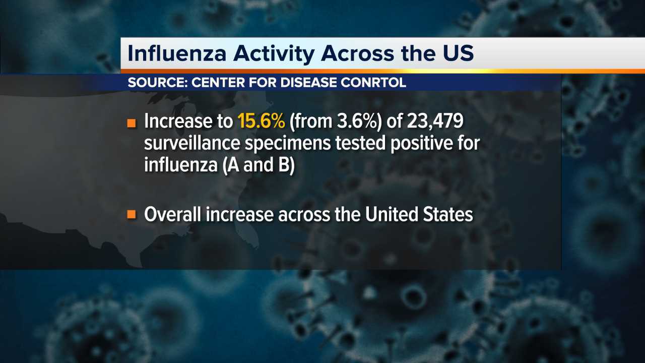 flu graphic 1.jpg