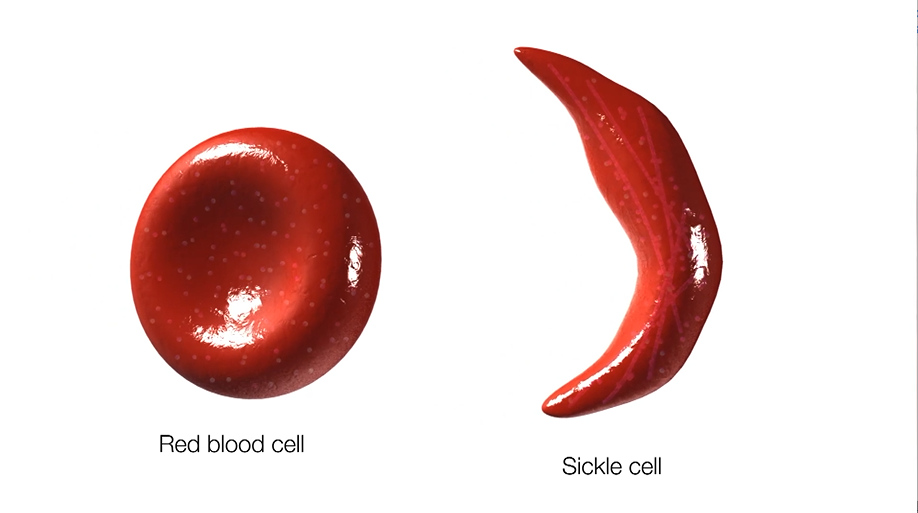 Screenshot 2023-03-31 085726.png