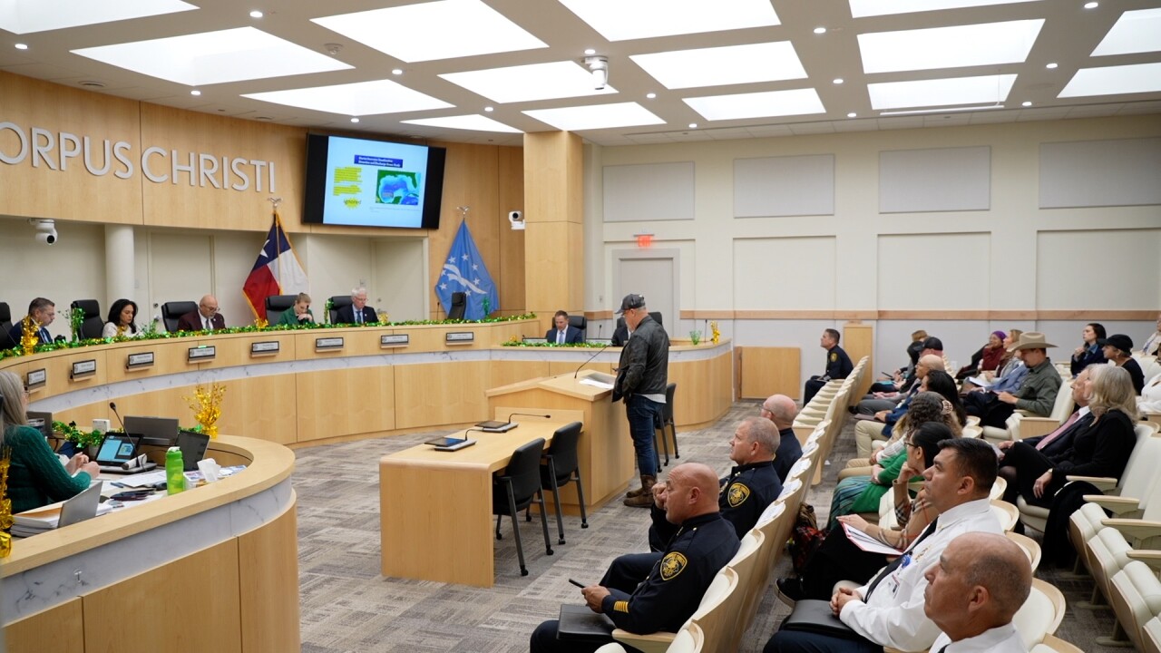 EVANGELINE AT COUNCIL.jpg