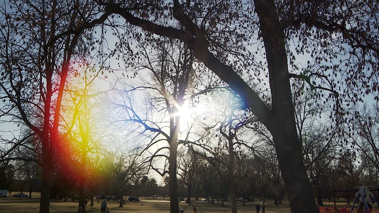 Sunshine at City Park.jpg