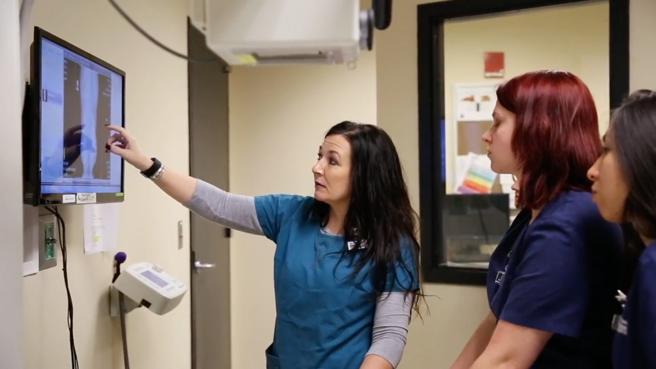 St. Petersburg College2.png