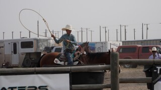Lasso
