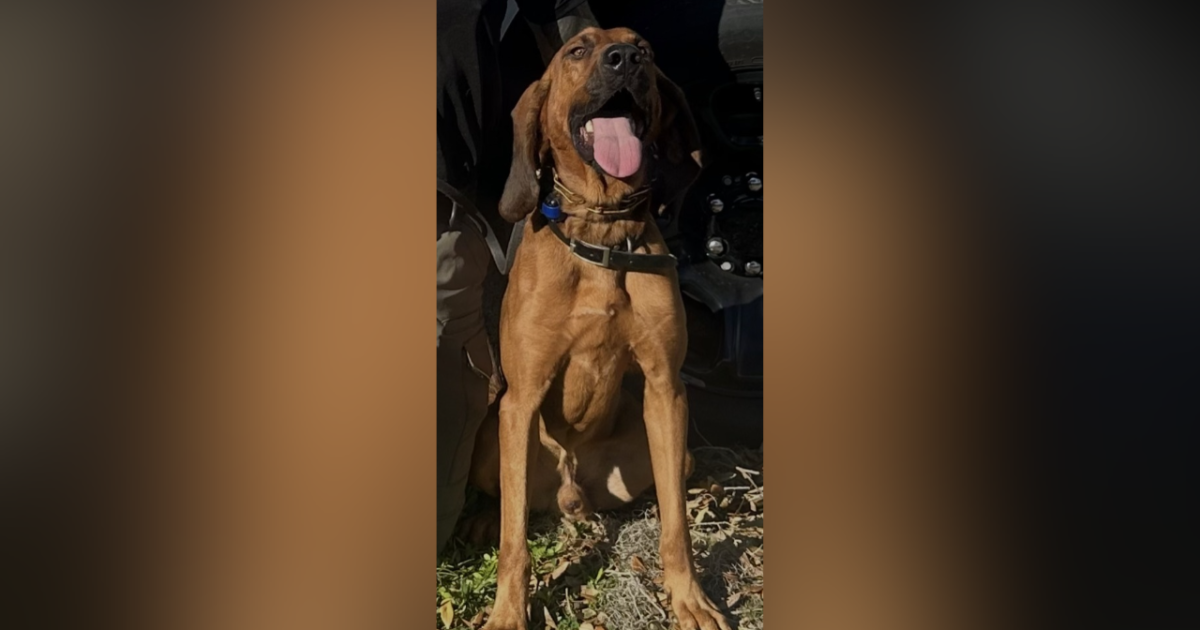 VIDEO: Missing Bradenton man found safe after 24-hour search thanks to ...