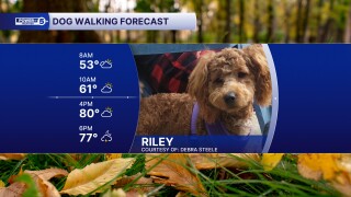Riley