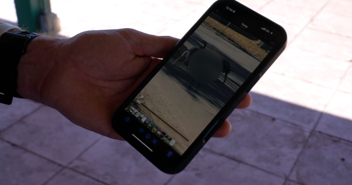 Aggressive dog fight near Kingsville elementary raises safety concerns