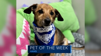 Pet of the Week: Hans