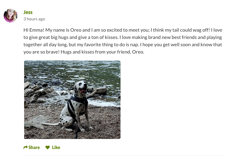 0226 DOG 3.png
